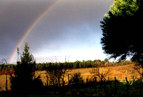 Un arc en ciel