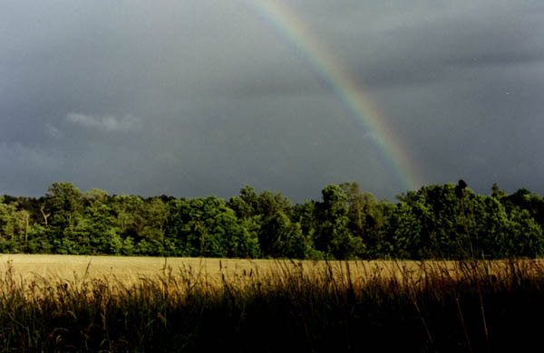 Un arc en ciel