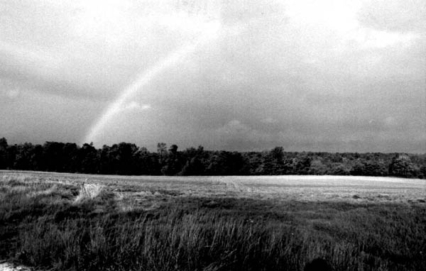 un arc en ciel
