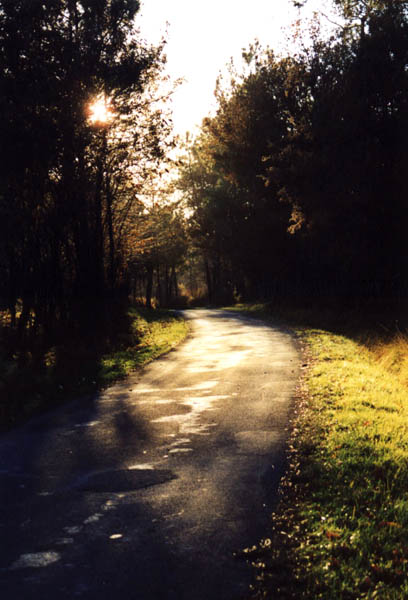une petite route de campagne