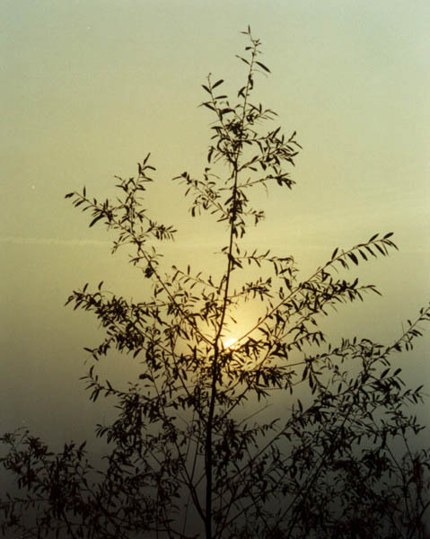 Un lever de soleil